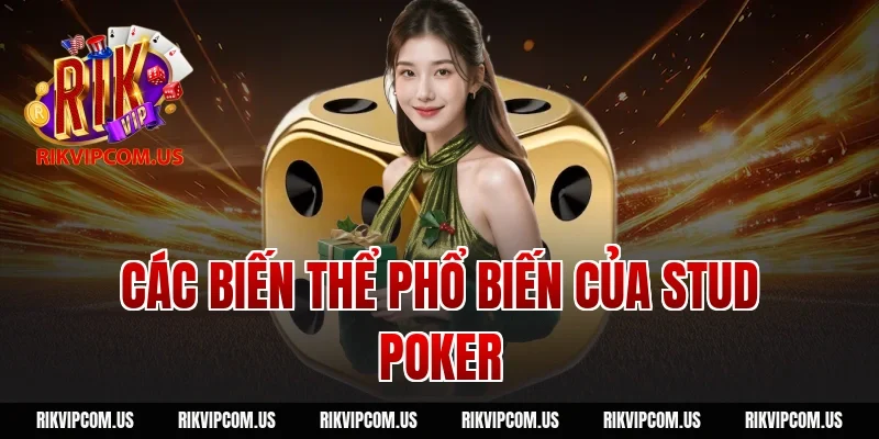 Các Biến Thể Phổ Biến Của Stud Poker